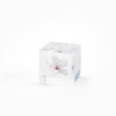 Japanese Sola Cube