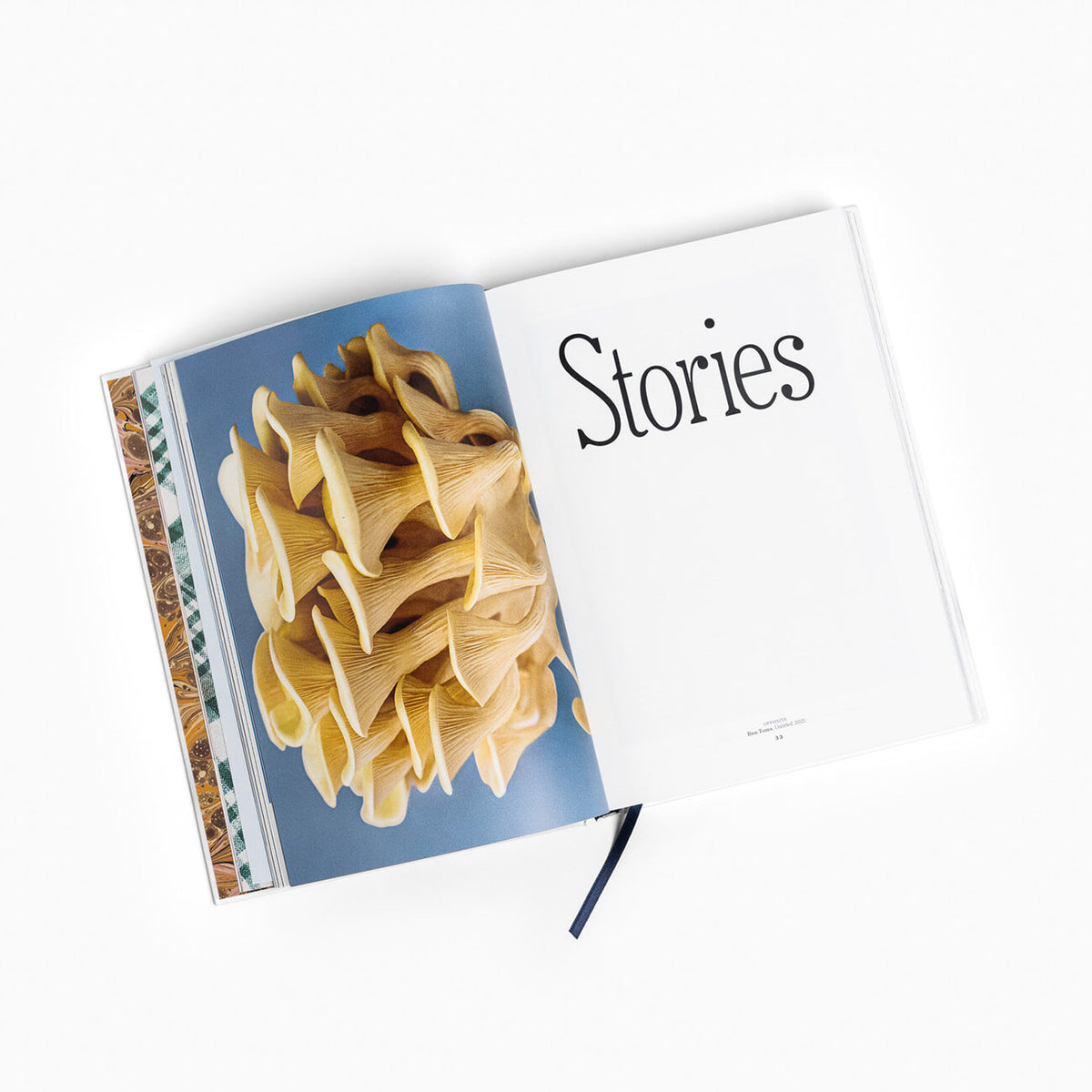 The Gourmand's Mushroom | Unique Home Decor | R. Runberg Curiosities