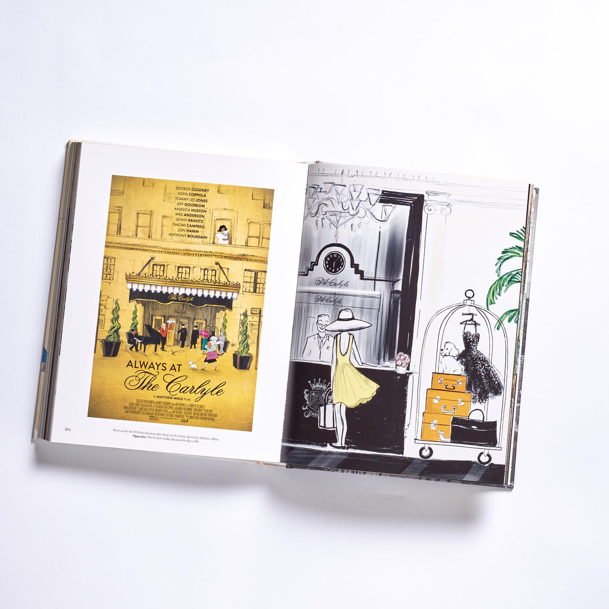 The Carlyle | Unique Home Decor | R. Runberg Curiosities
