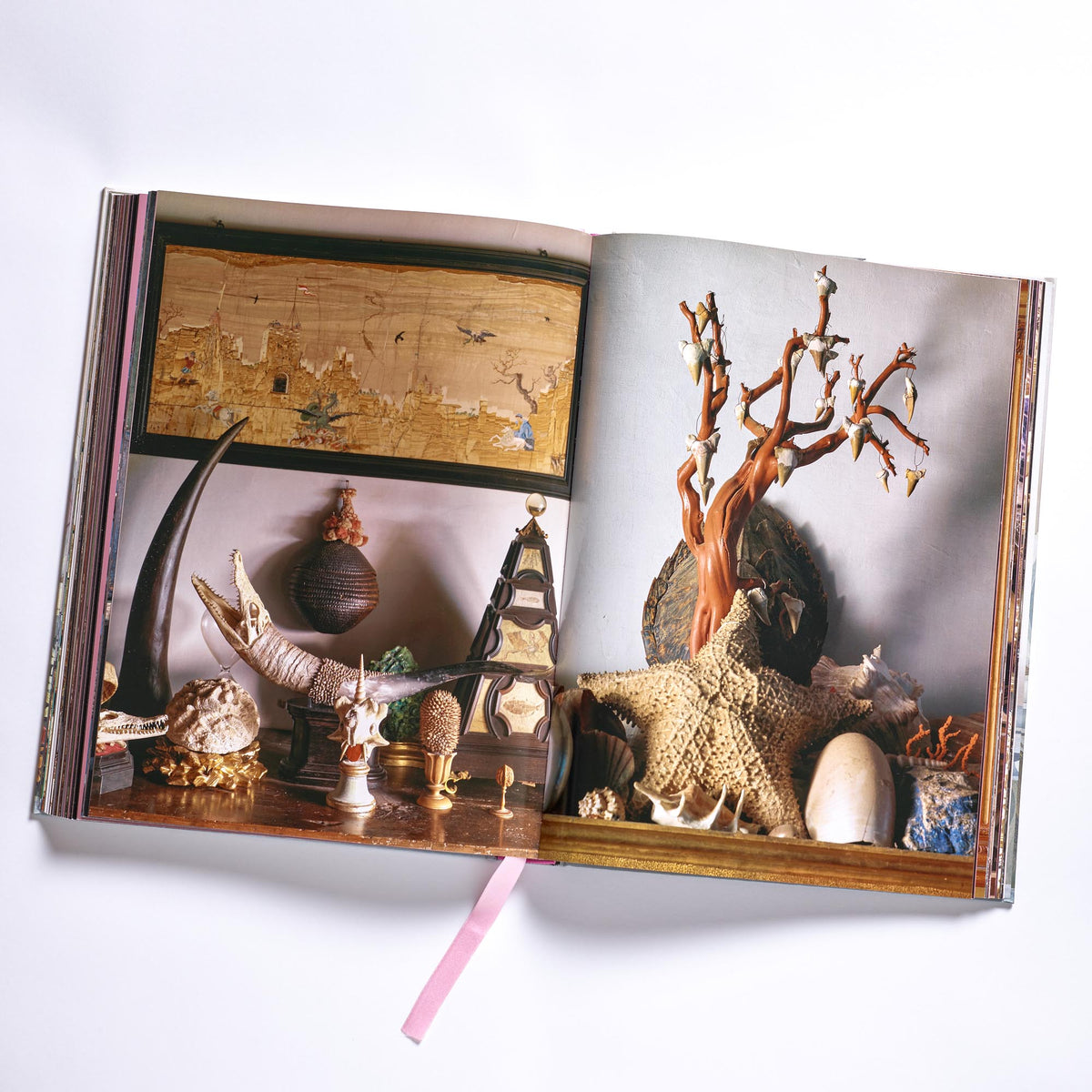 Cabinet of Curiosities | Unique Home Decor | R. Runberg Curiosities