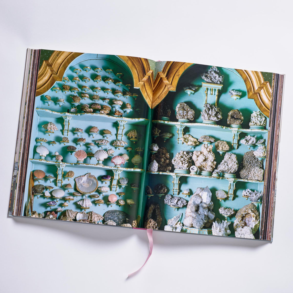 Cabinet of Curiosities | Unique Home Decor | R. Runberg Curiosities