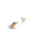 Antique Fish Salt Cellar | Unique Home Decor | R. Runberg Curiosities