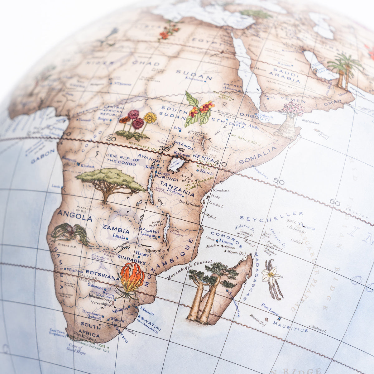 Botanica Desk Globe | Unique Home Decor | R. Runberg Curiosities