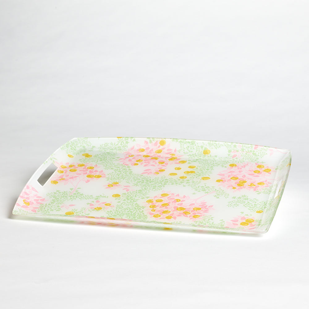 Laminated Serving Tray | Unique Home Decor | R. Runberg Curiosities