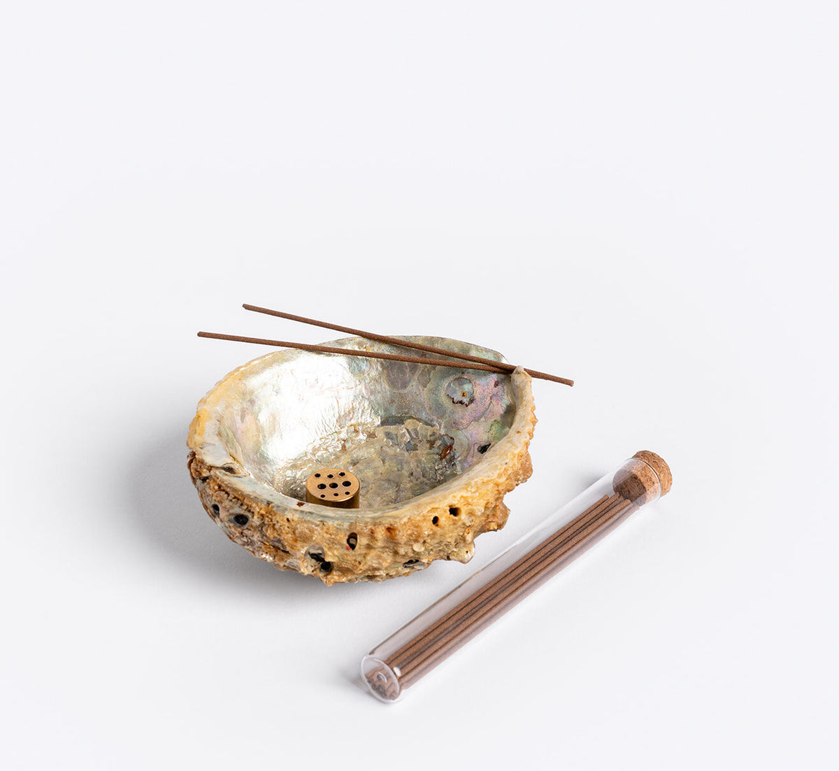 Abalone Incense Holder | Unique Home Decor | R. Runberg Curiosities