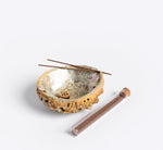 Abalone Incense Holder | Unique Home Decor | R. Runberg Curiosities