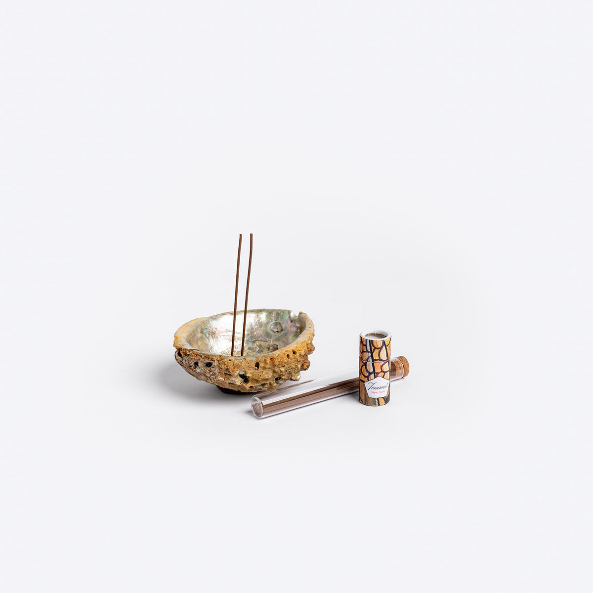 Abalone Incense Holder | Unique Home Decor | R. Runberg Curiosities