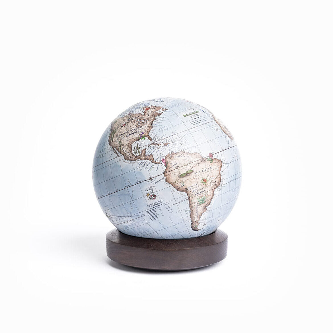 Botanica Desk Globe | Unique Home Decor | R. Runberg Curiosities