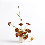 Ceramic Frog Vase | Unique Home Decor | R. Runberg Curiosities