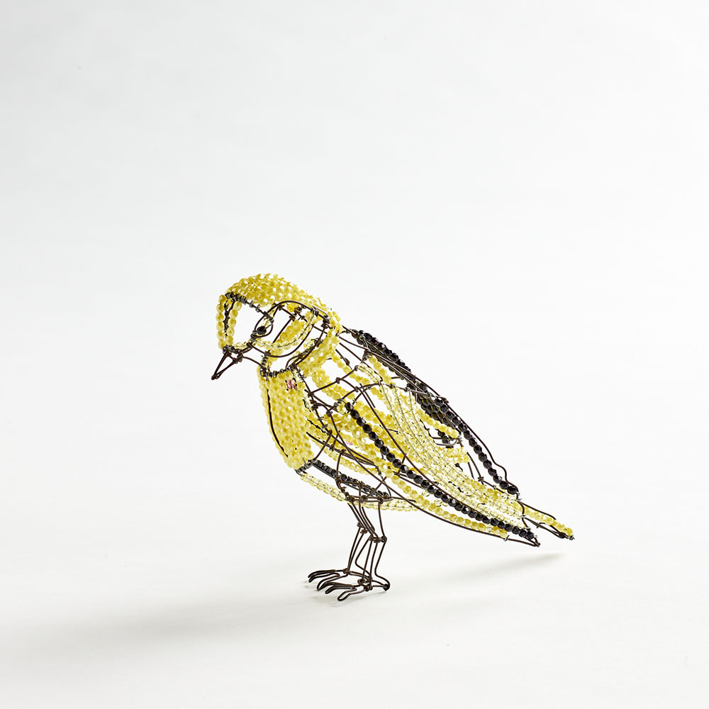 MC American Goldfinch