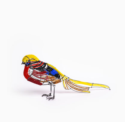 MC Golden Pheasant