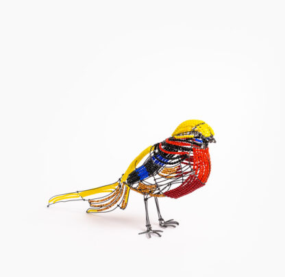 MC Golden Pheasant - Image 2