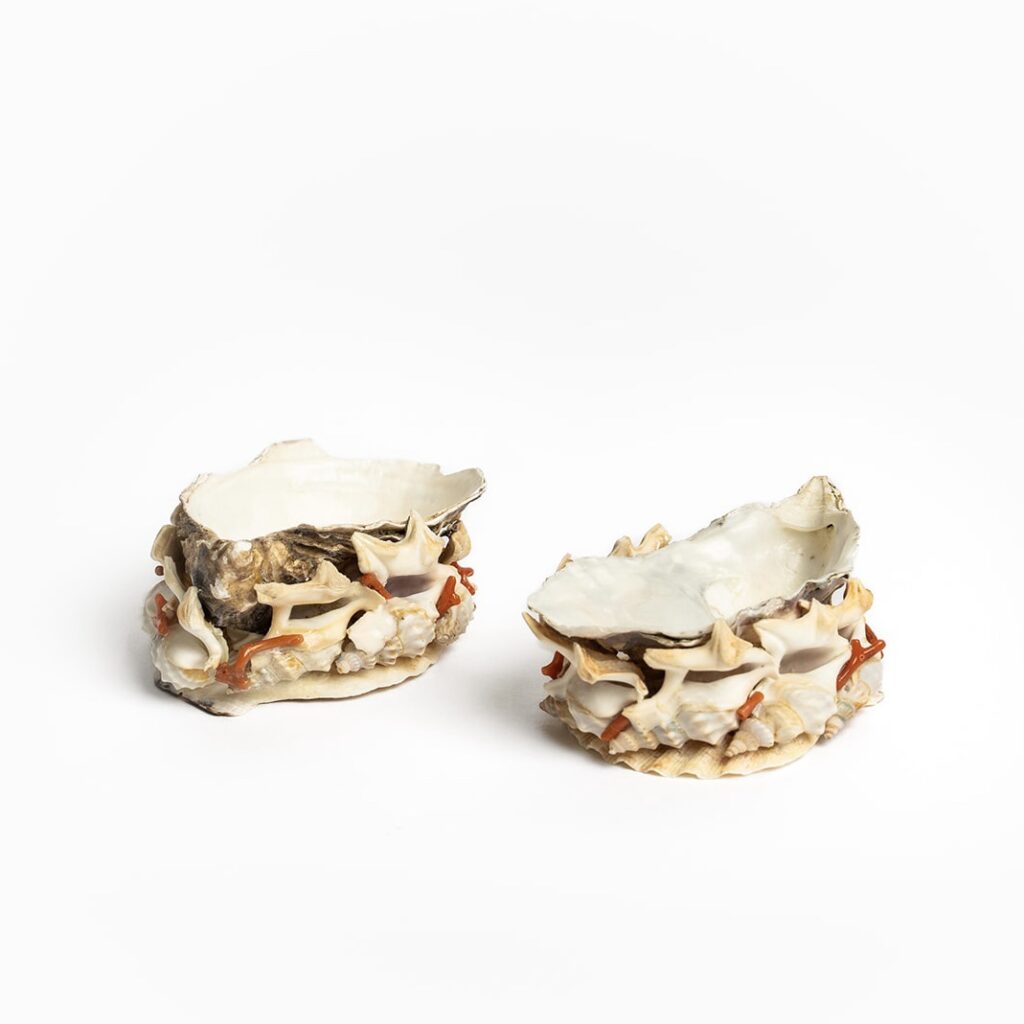 Tess Morley Oyster Shell Salt Cellars, pair