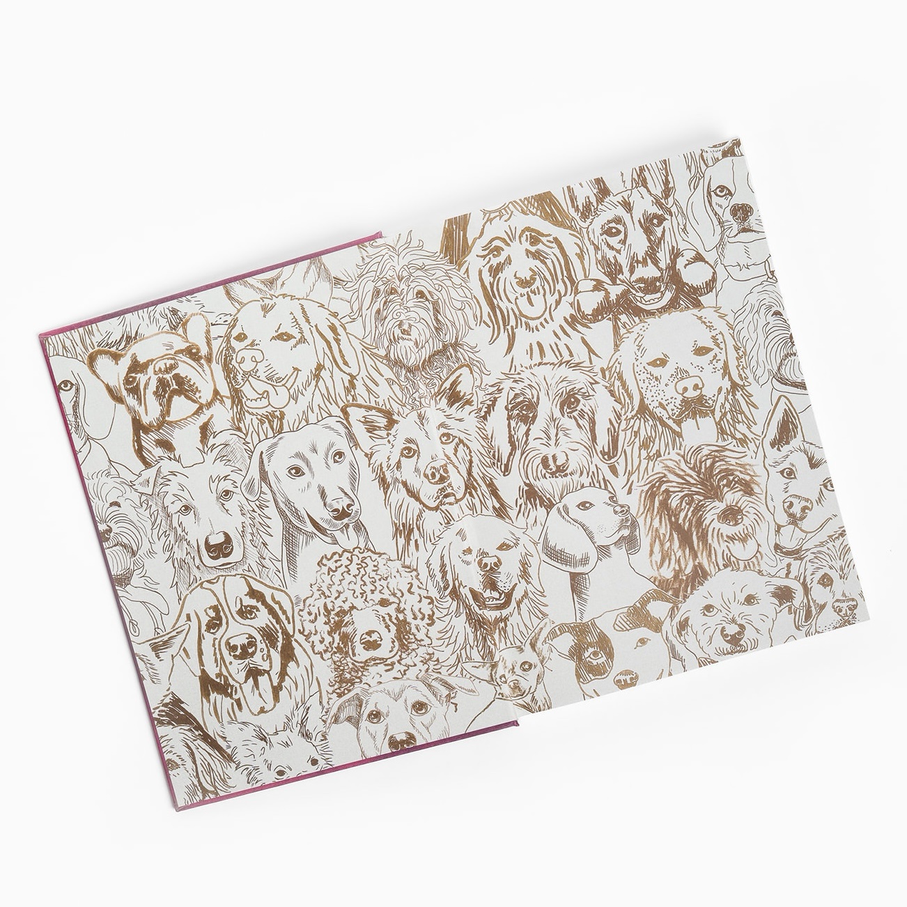 Assouline Chic Dogs - Image 4