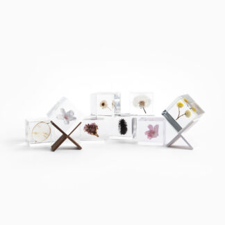 Sola Cube