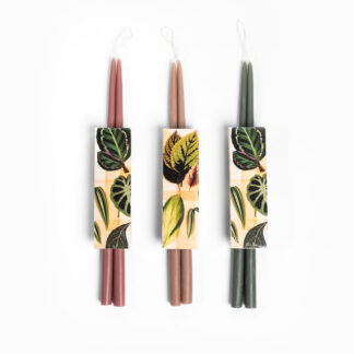 TFS Tapers + Matches Trio - long botanical