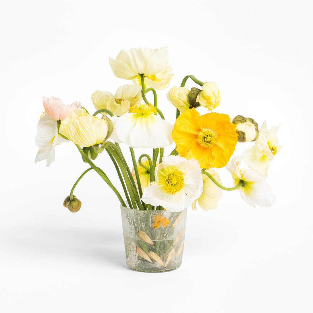 Marigold Votive, small
